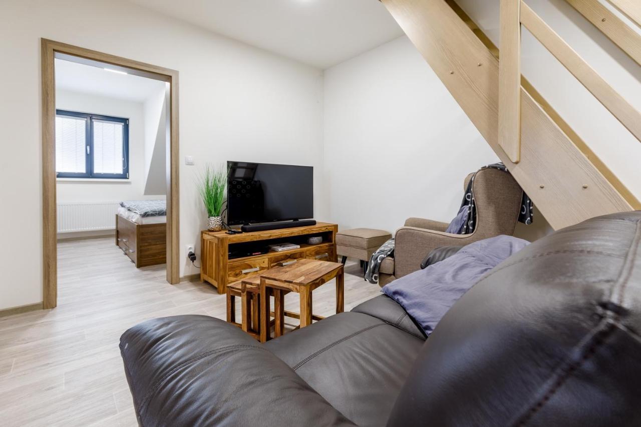 Apartment Ness Boží Dar 외부 사진