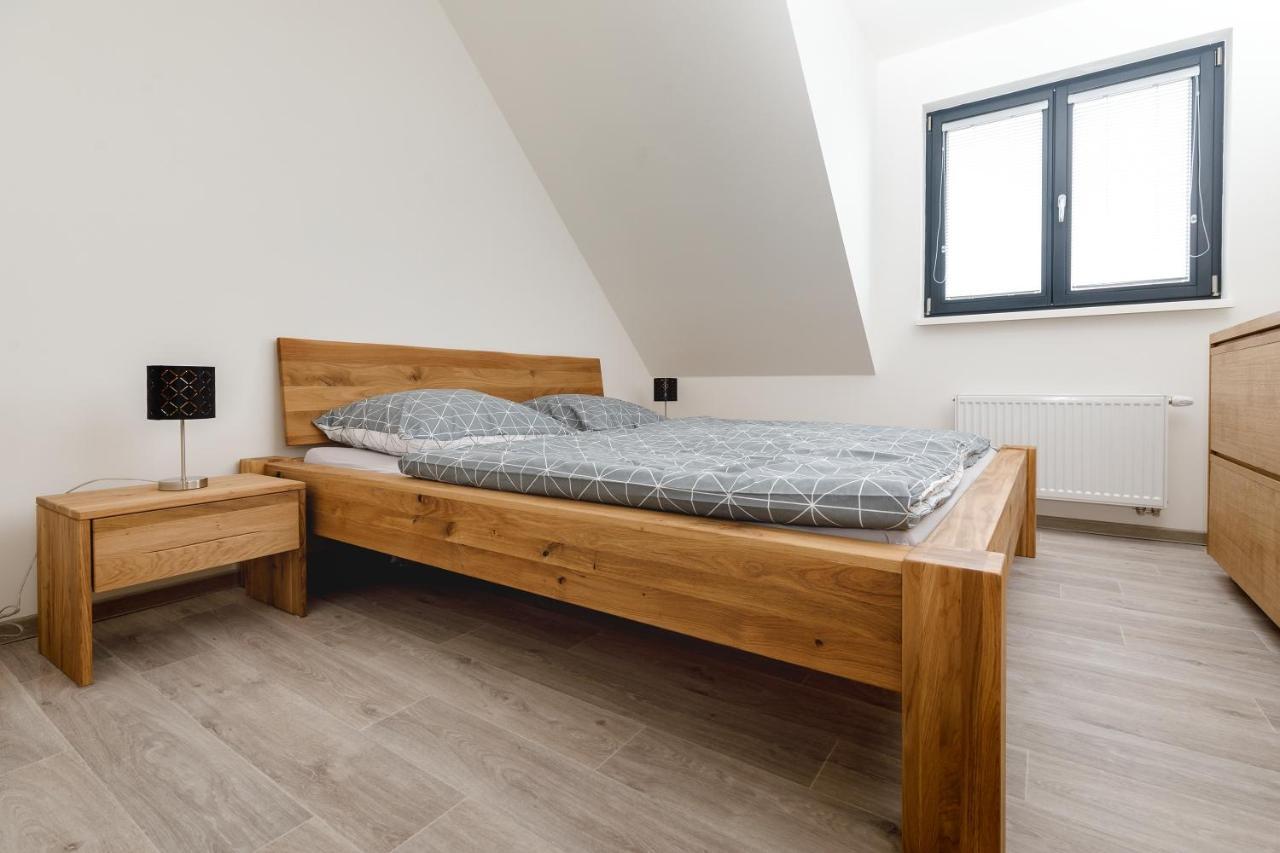 Apartment Ness Boží Dar 외부 사진