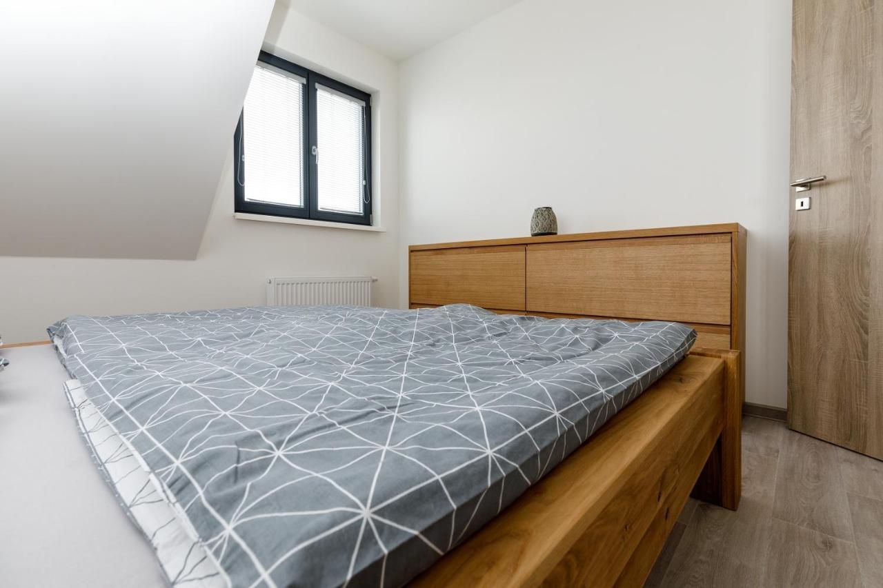 Apartment Ness Boží Dar 외부 사진